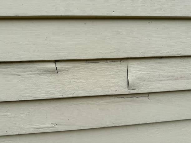 Reliable Kaaawa, HI Siding Solutions